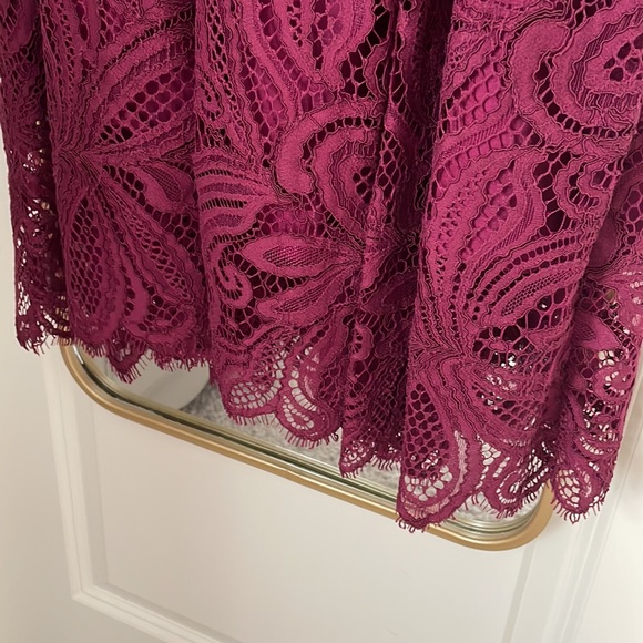 Zac Posen Lace Midi Dress - Picture 6 of 7